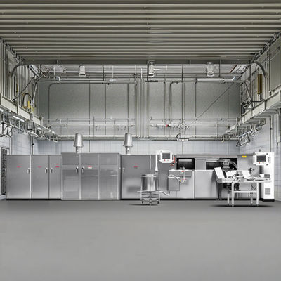 Factory Direct Sales Automatic Egg Roll Production Line With CE