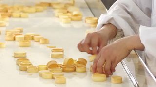 خط إنتاج شل تارت الأوتوماتيكي